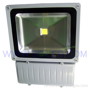 High Efficient Outdoor 100W Bridgelux LED Floodlight